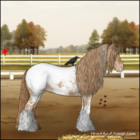 Horse Color:White Spotted Red Dun Snowcap 