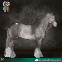 Horse Color:Platinum Liver Chestnut Tobiano 