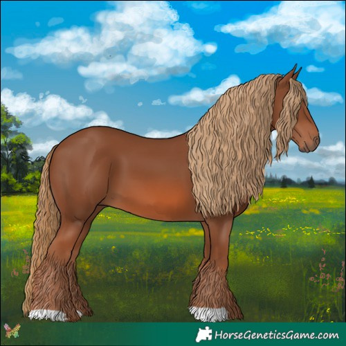 Horse Color:Chestnut 