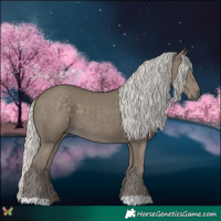 Horse Color:Silver Smoky Black 