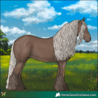 Horse Color:Silver Black 