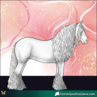 Horse Color:Cremello Appaloosa