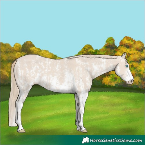 Horse Color:Smoky Creme Sabino  and Smoky Creme Sabino 