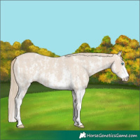 Horse Color:Smoky Creme Sabino  and Smoky Creme Sabino 