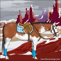 Horse Color:Bay Sabino Splash 