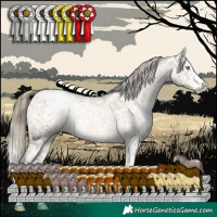 Horse Color:White Spotted Buckskin Pearl Snowflake Varnish