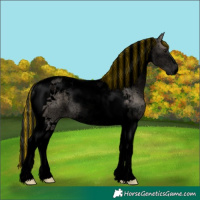 Horse Color:Void Painted Grullo Tobiano Rabicano 