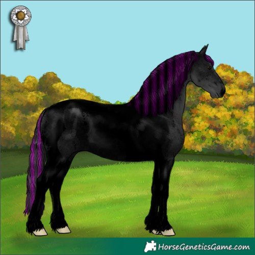 Horse Color:Void Painted Black Tobiano 