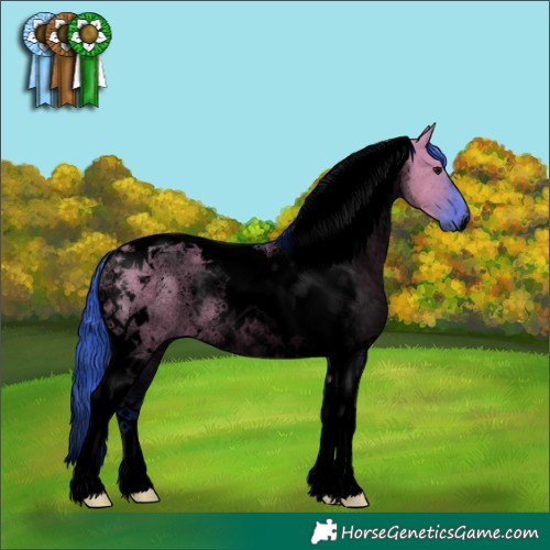 Horse Color:Void Watercolor Grullo Tobiano Rabicano 
