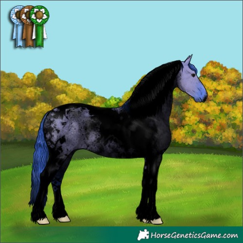 Horse Color:Void Watercolor Grullo Tobiano Rabicano 