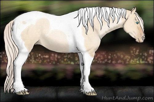 Horse Color:Silver Buckskin Pearl Dun Tobiano