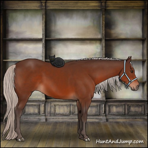 Horse Color:Silver Brown 