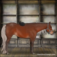 Horse Color:Silver Brown 