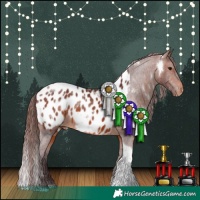 Horse Color:White Spotted Chocolate Brown Tobiano Appaloosa Rabicano