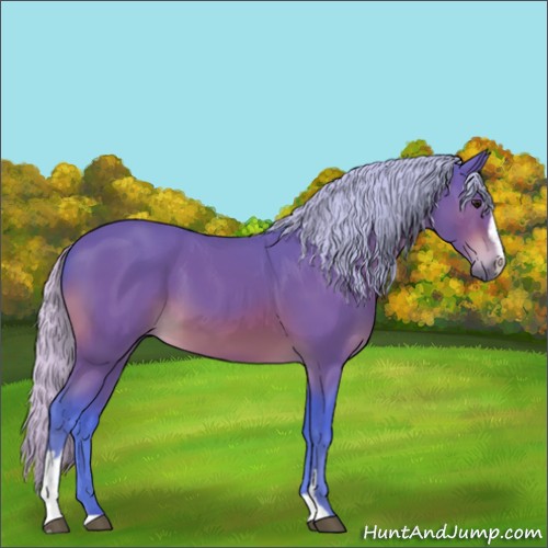 Horse Color:Watercolor Silver Bay Sabino