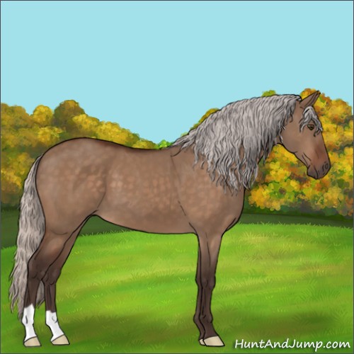 Horse Color:Silver Brown Dun 