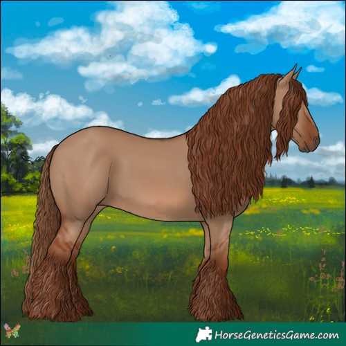 Horse Color:Red Dun 