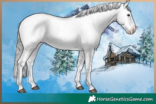 Horse Color:Platinum White Spotted Buckskin Ice Snowflake Varnish