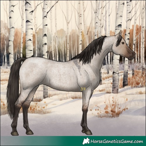Horse Color:Liver Red Dun Roan