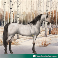Horse Color:Liver Red Dun Roan 