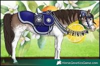 Horse Color:White Spotted Liver Red Dun 