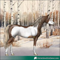 Horse Color:Chocolate Palomino Frame 