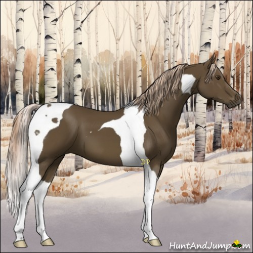 Horse Color:Chocolate Palomino Tobiano 