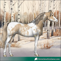 Horse Color:Chocolate Palomino Dun Sabino Tobiano