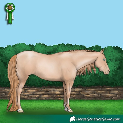 Horse Color:Gold Champagne Pearl Rabicano  and Gold Champagne Pearl Rabicano 