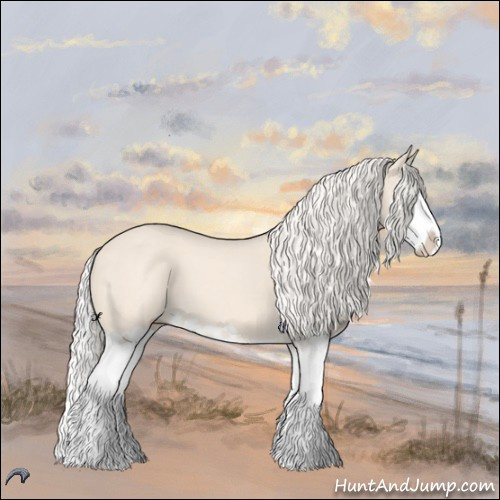 Horse Color:Cremello Splash 