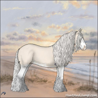 Horse Color:Cremello Splash 