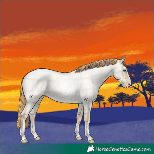 Horse Color:Plaid  Buckskin Roan Pearl Dun 