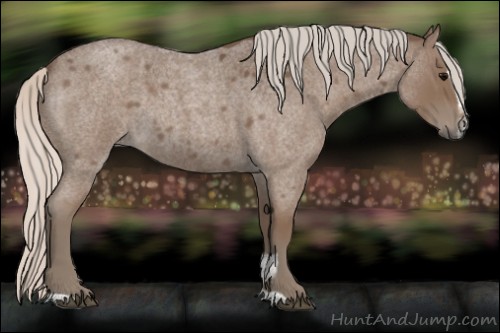 Horse Color:Silver Blue Roan Sabino