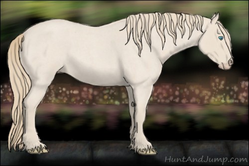 Horse Color:Smoky Creme Roan