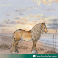 Horse Color:Chocolate Palomino Dun Mushroom Rabicano