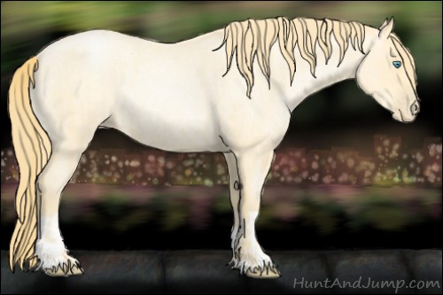 Horse Color:Buckskin Roan Pearl  and Buckskin Roan Pearl Rabicano 