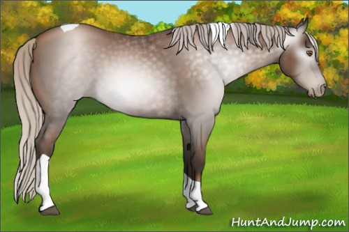 Horse Color:Gray Silver Blue Roan Pearl Tobiano 