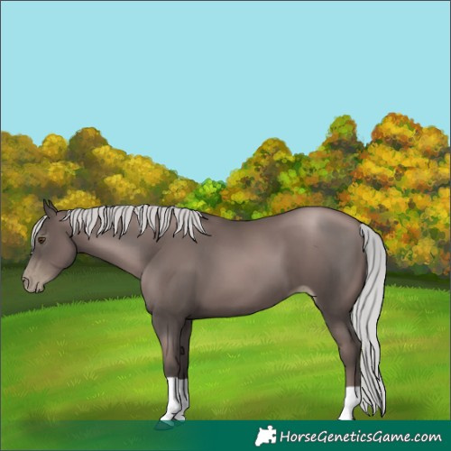 Horse Color:Gray Platinum Silver Black Pearl Tobiano 