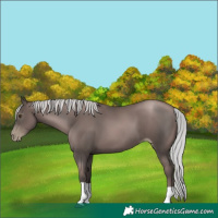 Horse Color:Gray Platinum Silver Black Pearl Tobiano 