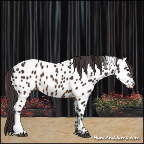 Horse Color:Buckskin Near Leopard