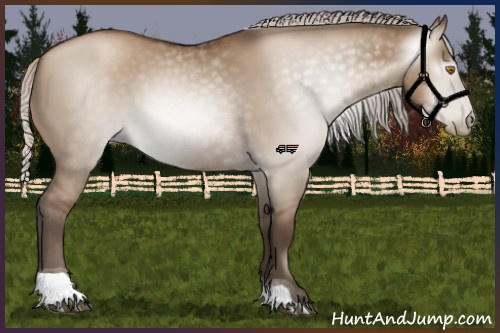 Horse Color:Gray Silver Grullo Pearl Tobiano