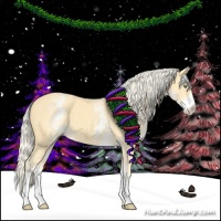 Horse Color:White Spotted Gold Cream Champagne 