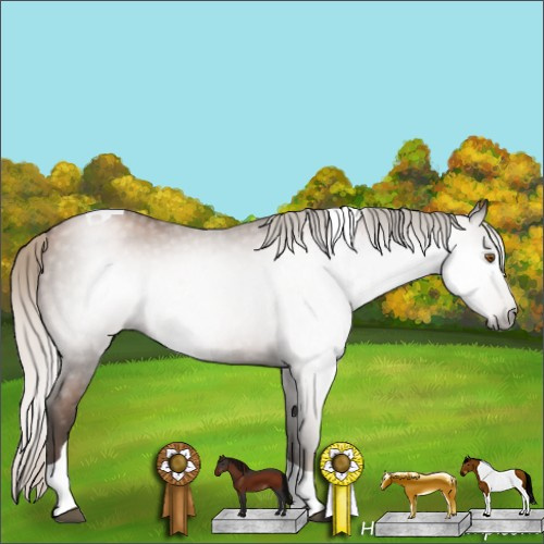 Horse Color:Gray Silver Black Pearl Tobiano 