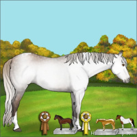 Horse Color:Gray Silver Black Pearl Tobiano 