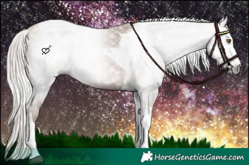 Horse Color:Gray Silver Black Pearl Tobiano 