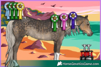 Horse Color:Silver Smoky Black Tobiano and Silver Smoky Black Tobiano