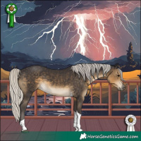 Horse Color:Silver Smoky Black Tobiano 