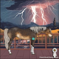 Horse Color:Silver Smoky Black Tobiano 