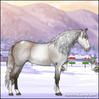Horse Color:Gray Silver Blue Roan Pearl Tobiano 