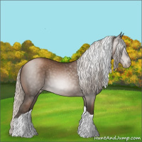 Horse Color:Gray Silver Black Pearl Tobiano